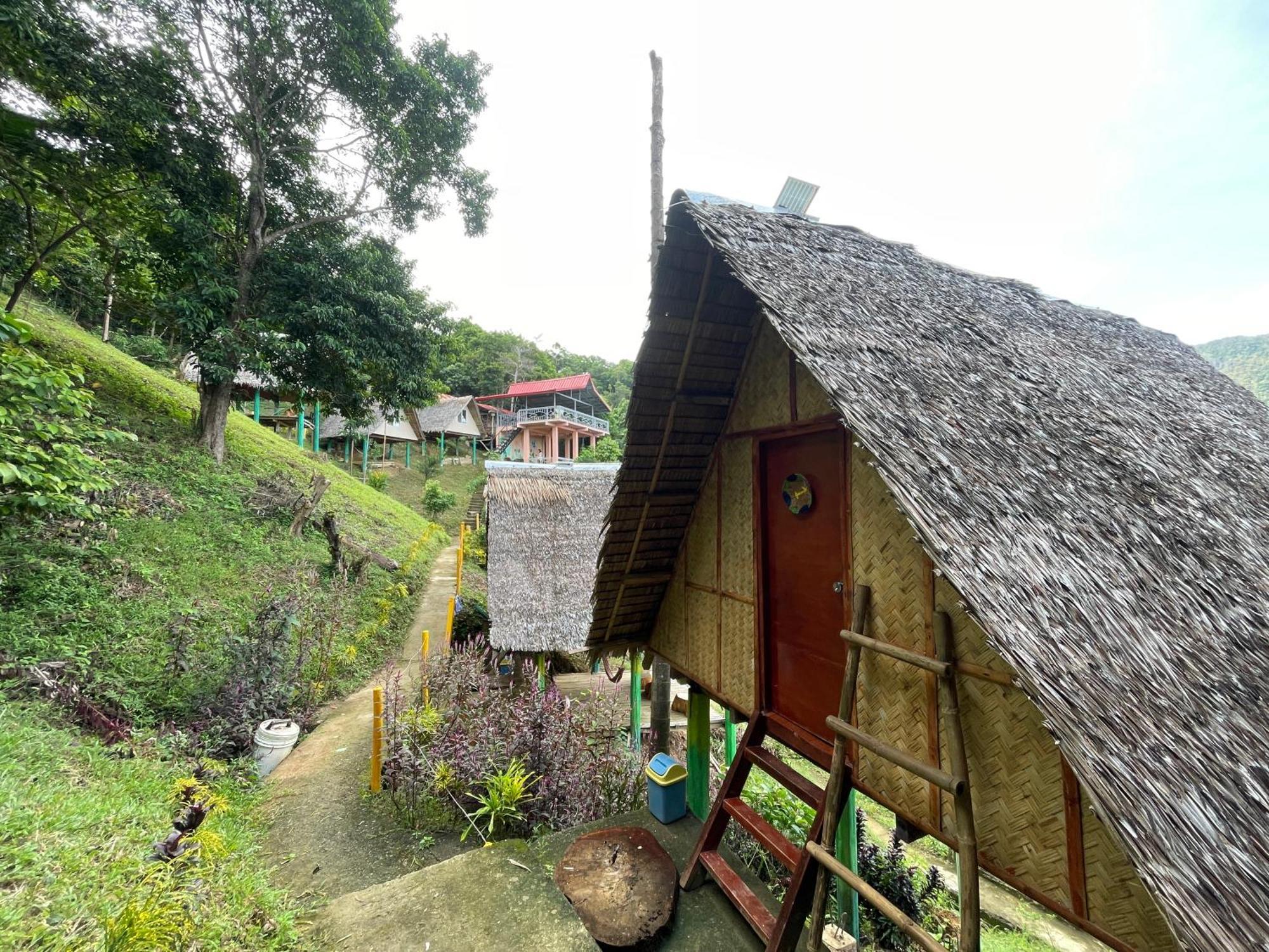 Forest Camp