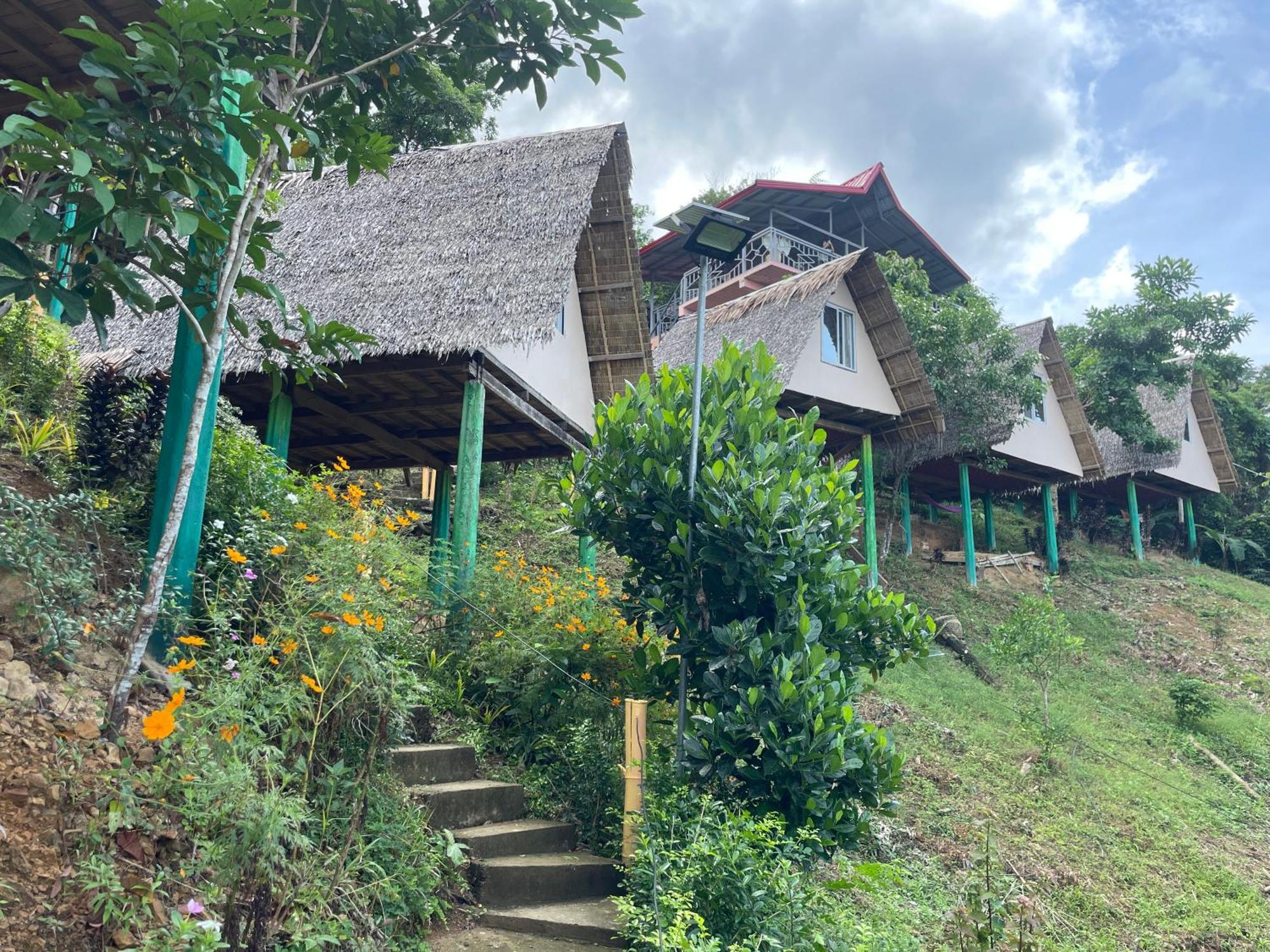 Campeggio Forest Camp