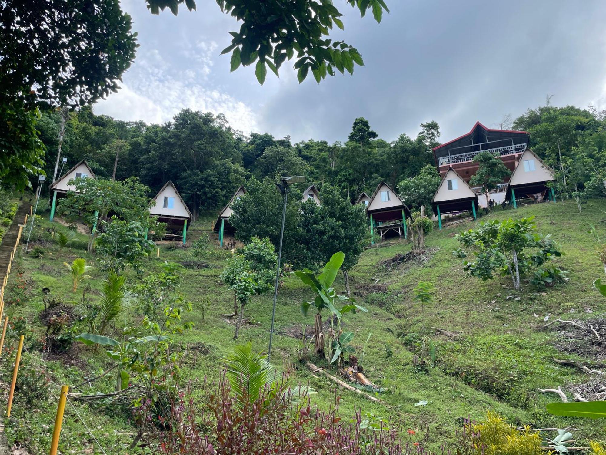 Campeggio Forest Camp El Nido