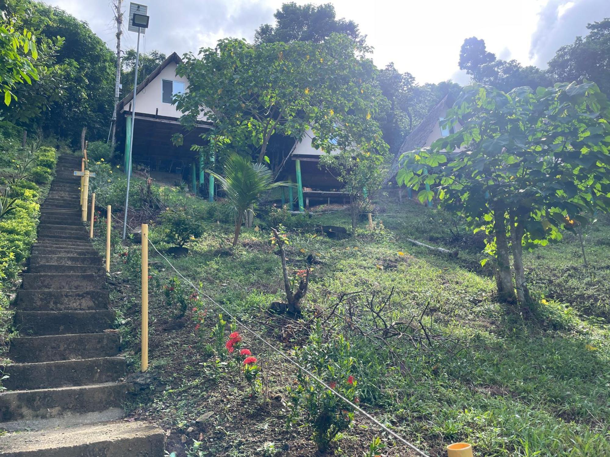 Forest Camp El Nido