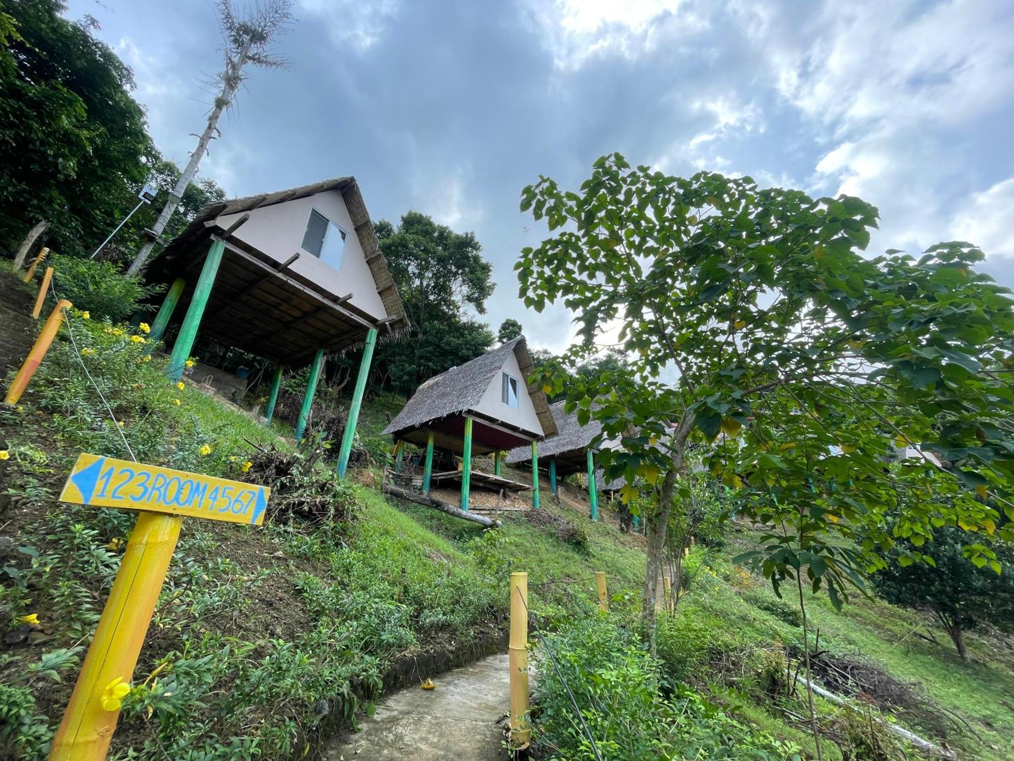 Forest Camp