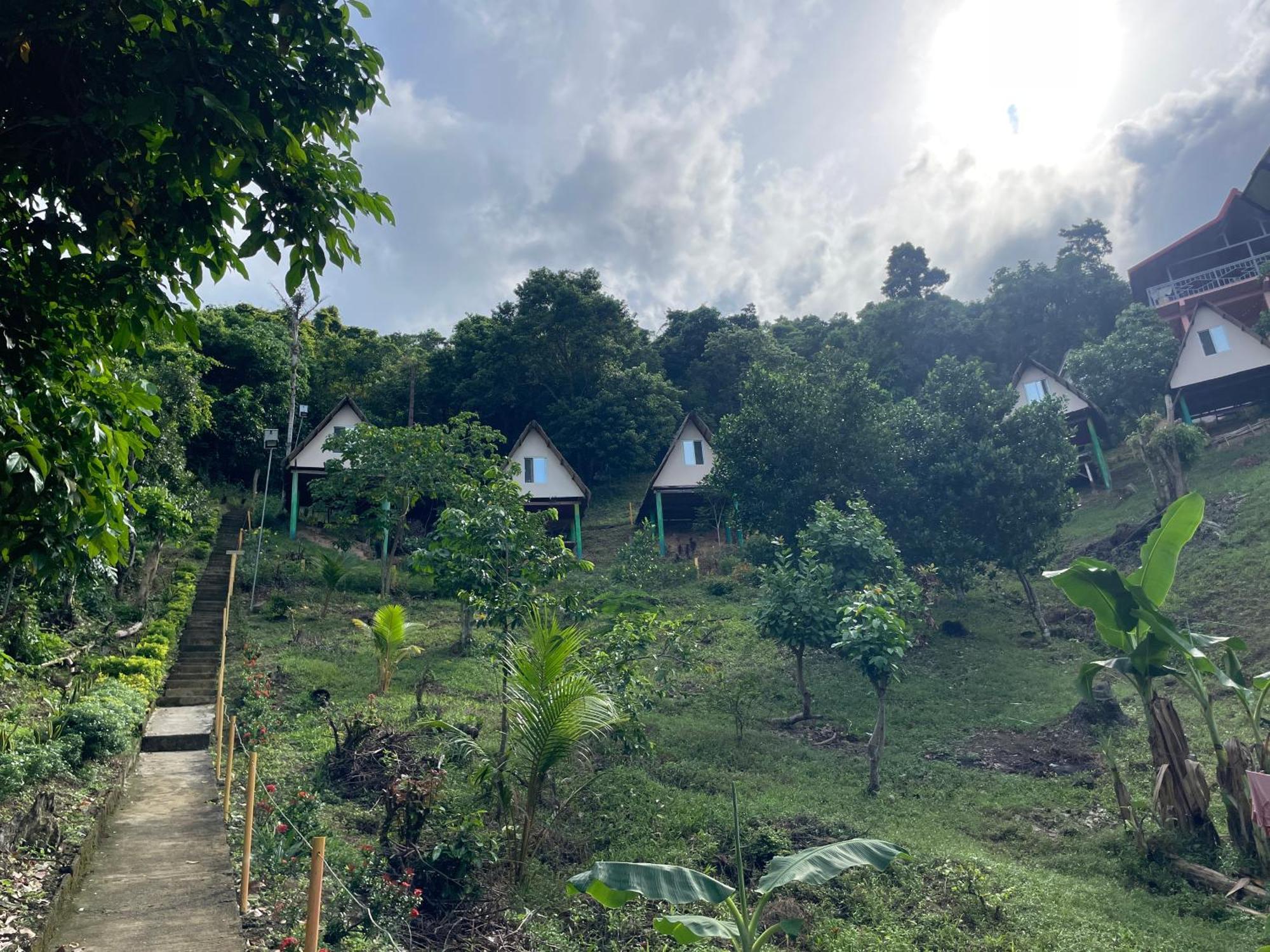 Campeggio Forest Camp El Nido