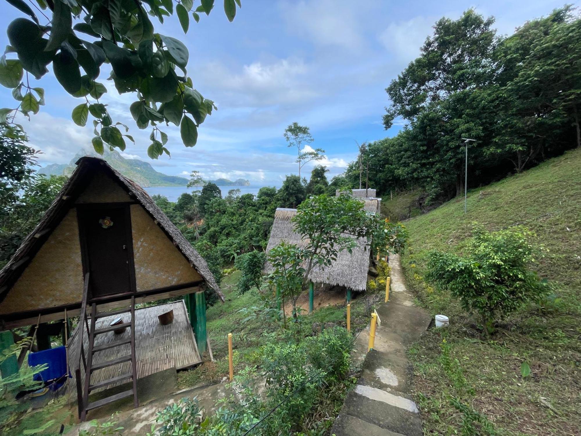 Forest Camp El Nido
