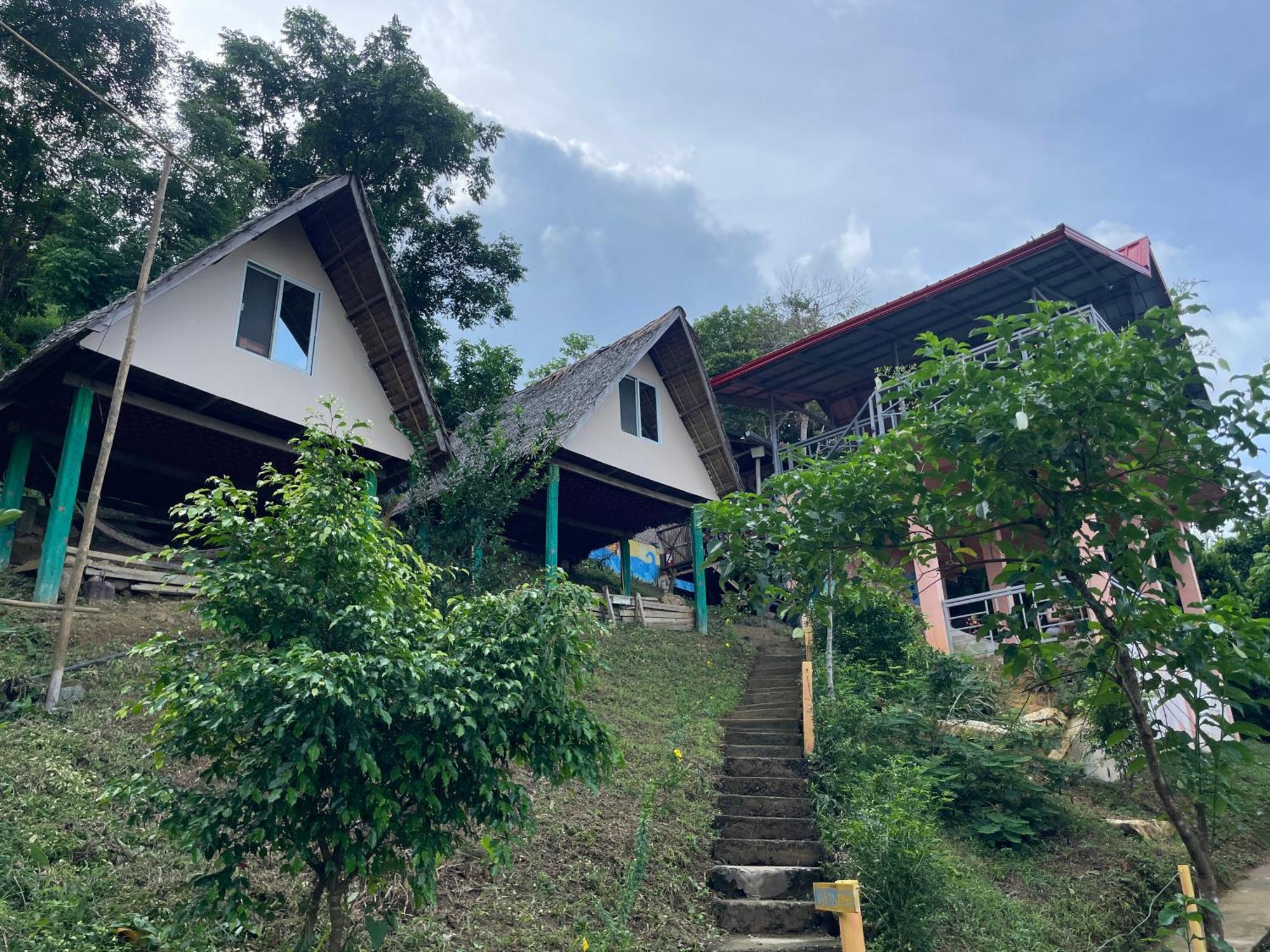 Forest Camp * El Nido