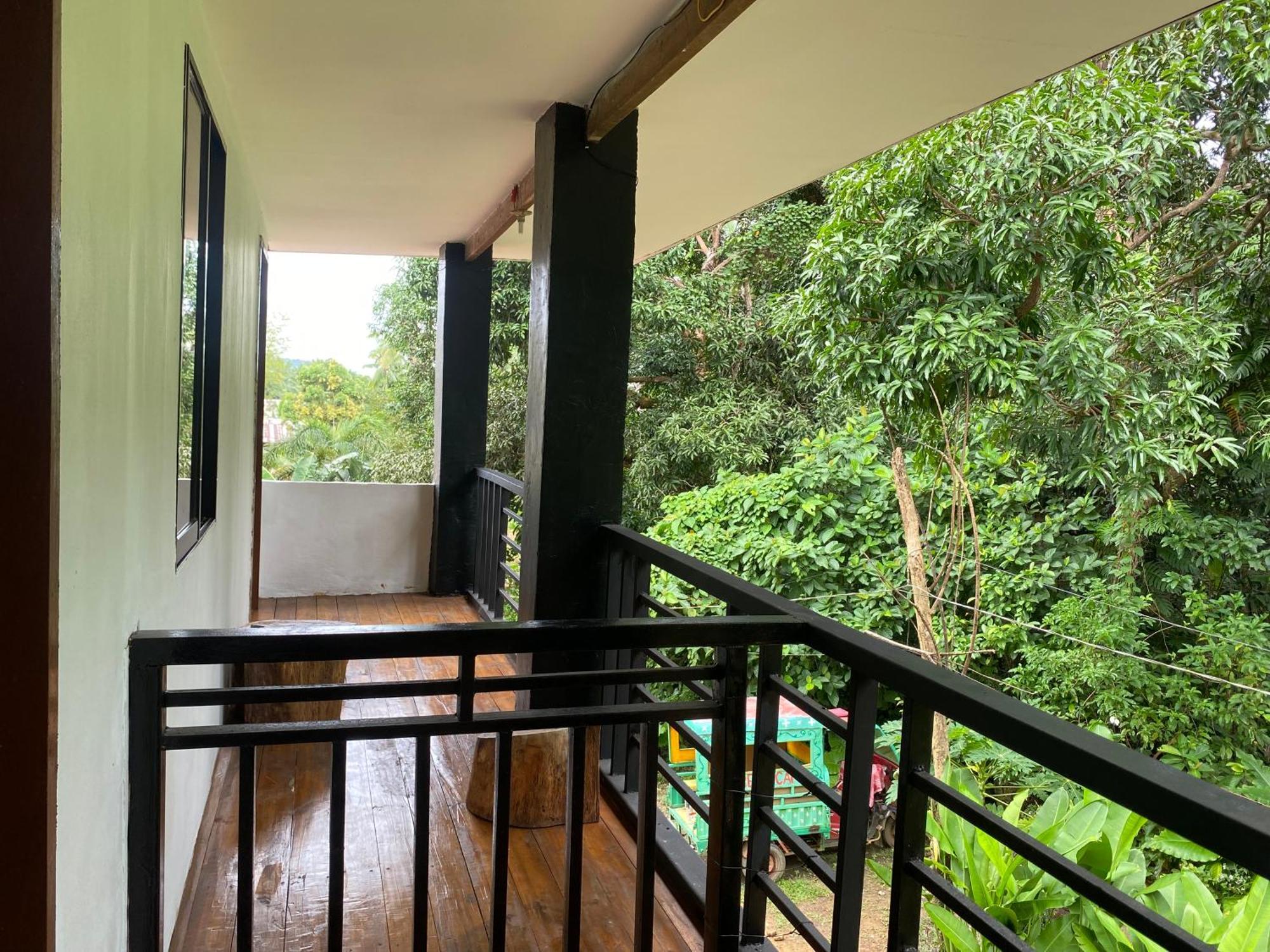 Paradiso Extension