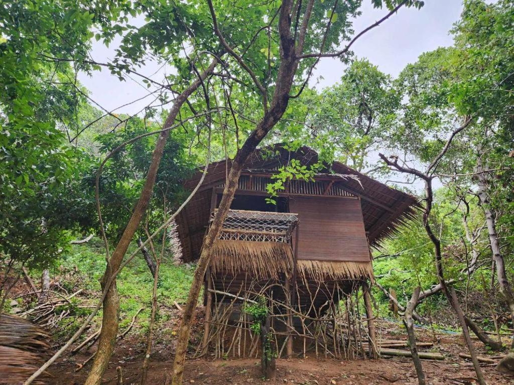 Bice Camp Darocotan El Nido