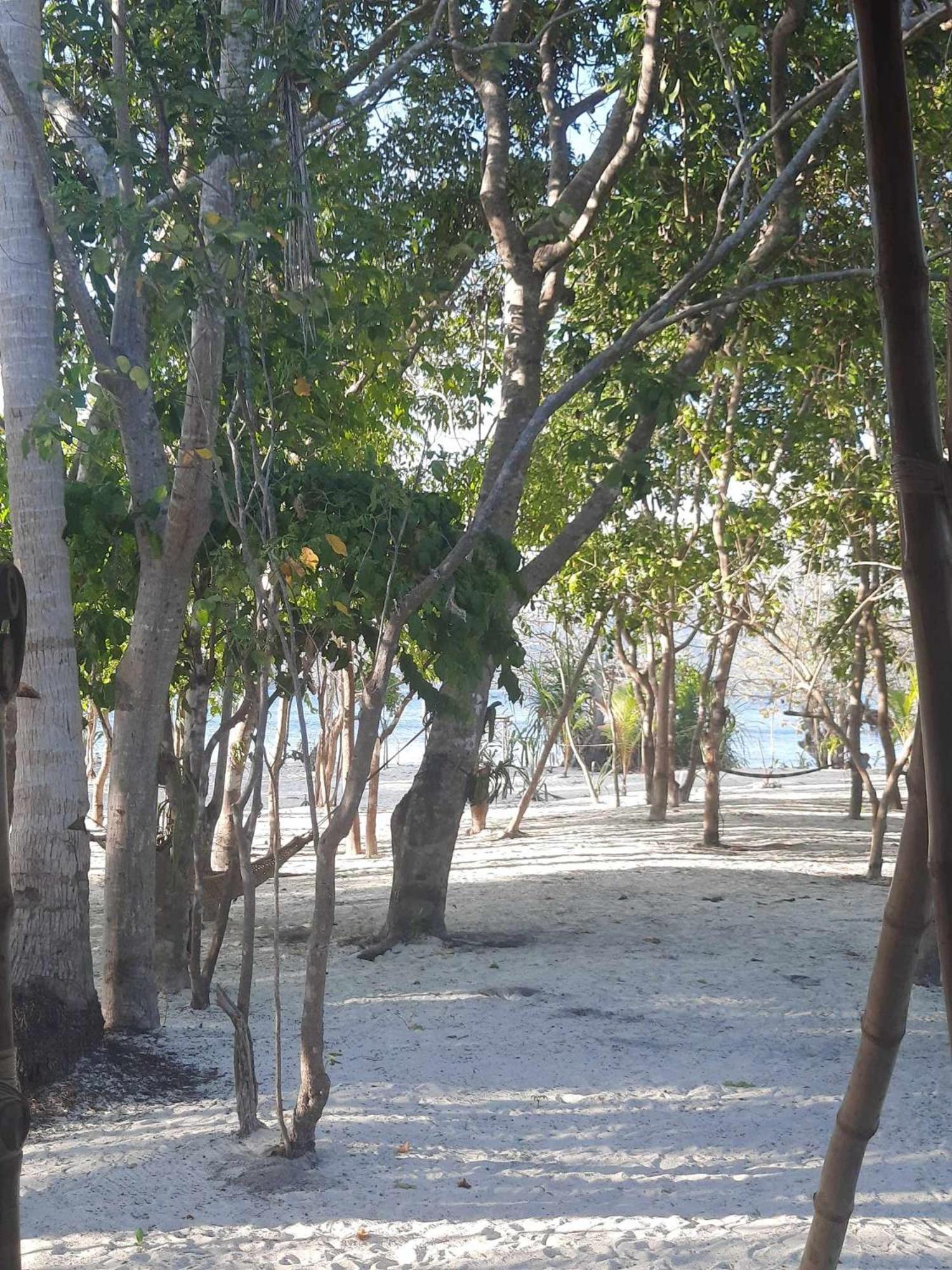 Dosplaya Ecocamp