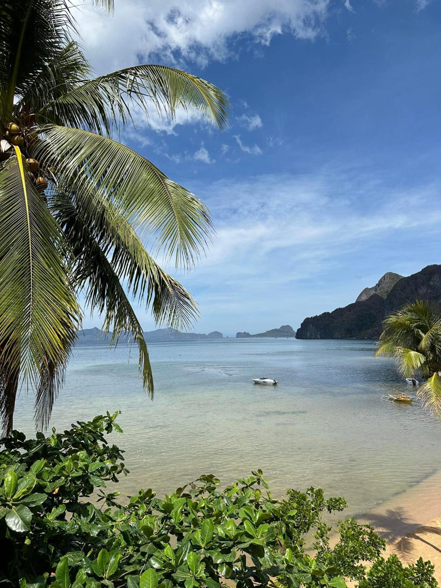 Desert Rose El Nido