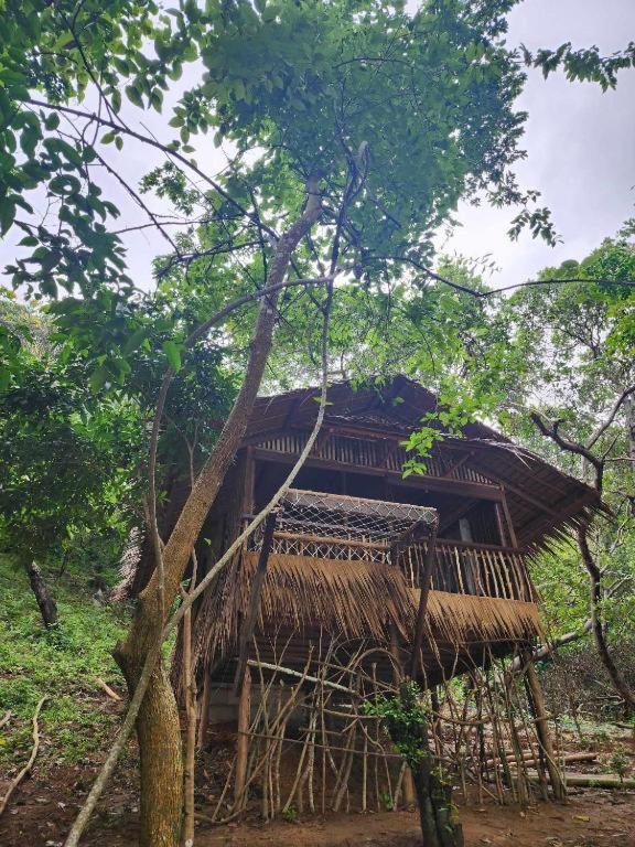 Bice Darocotan Hostel *