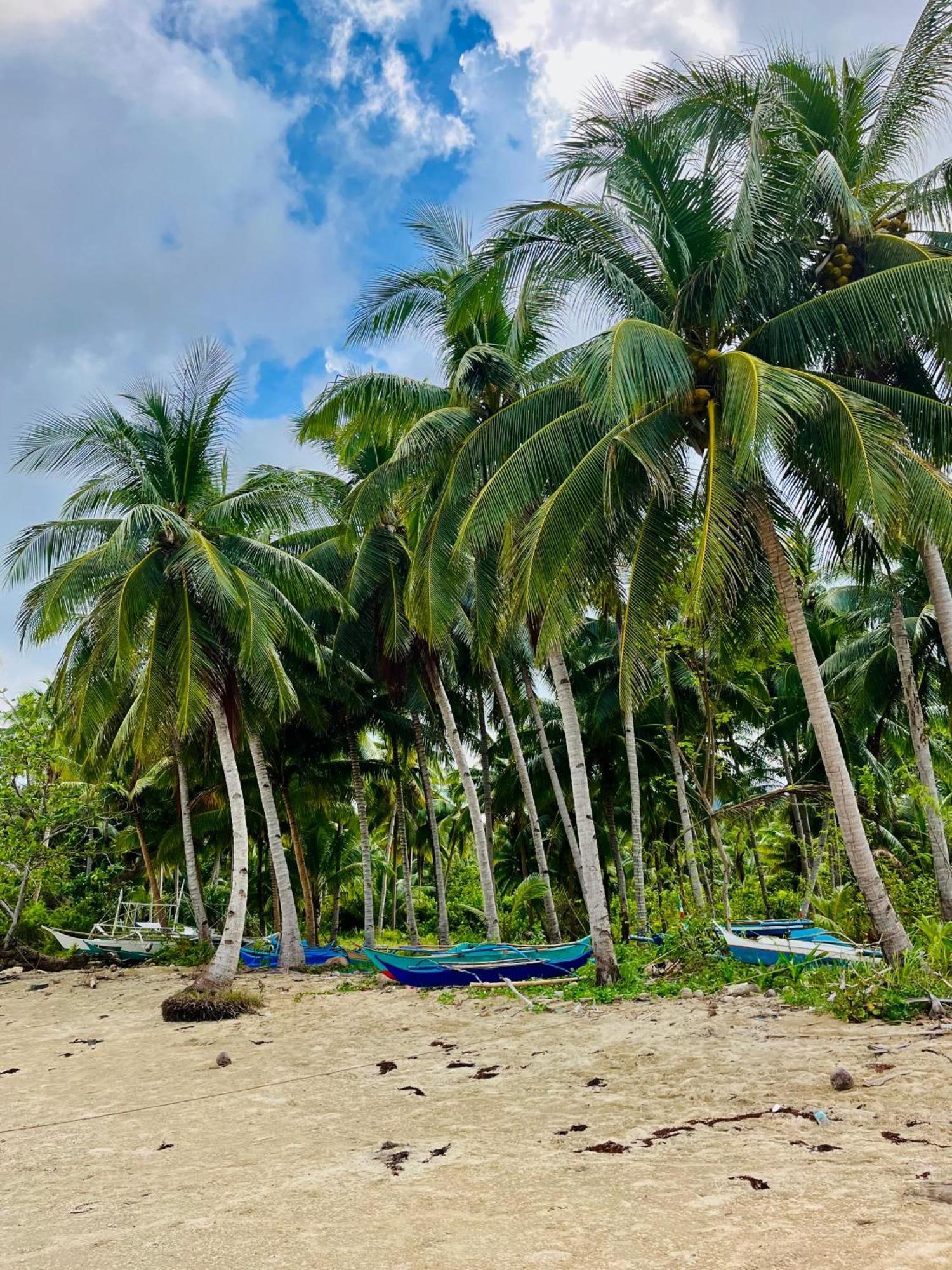 Campsite Ermon Sea Side View *