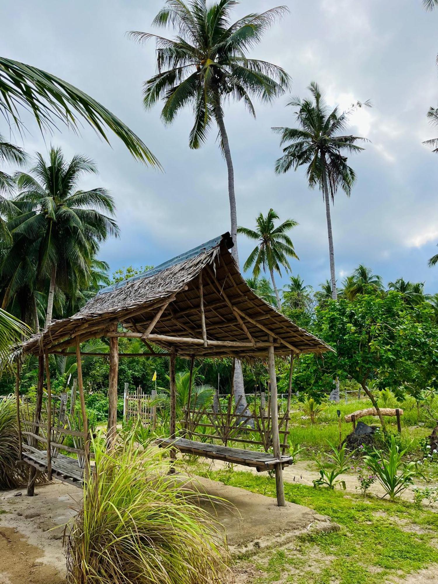 Ermon Sea Side View Campsite El Nido