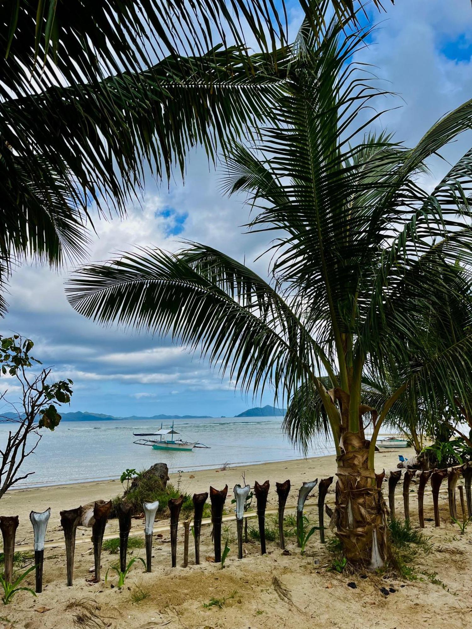 Campsite Ermon Sea Side View El Nido