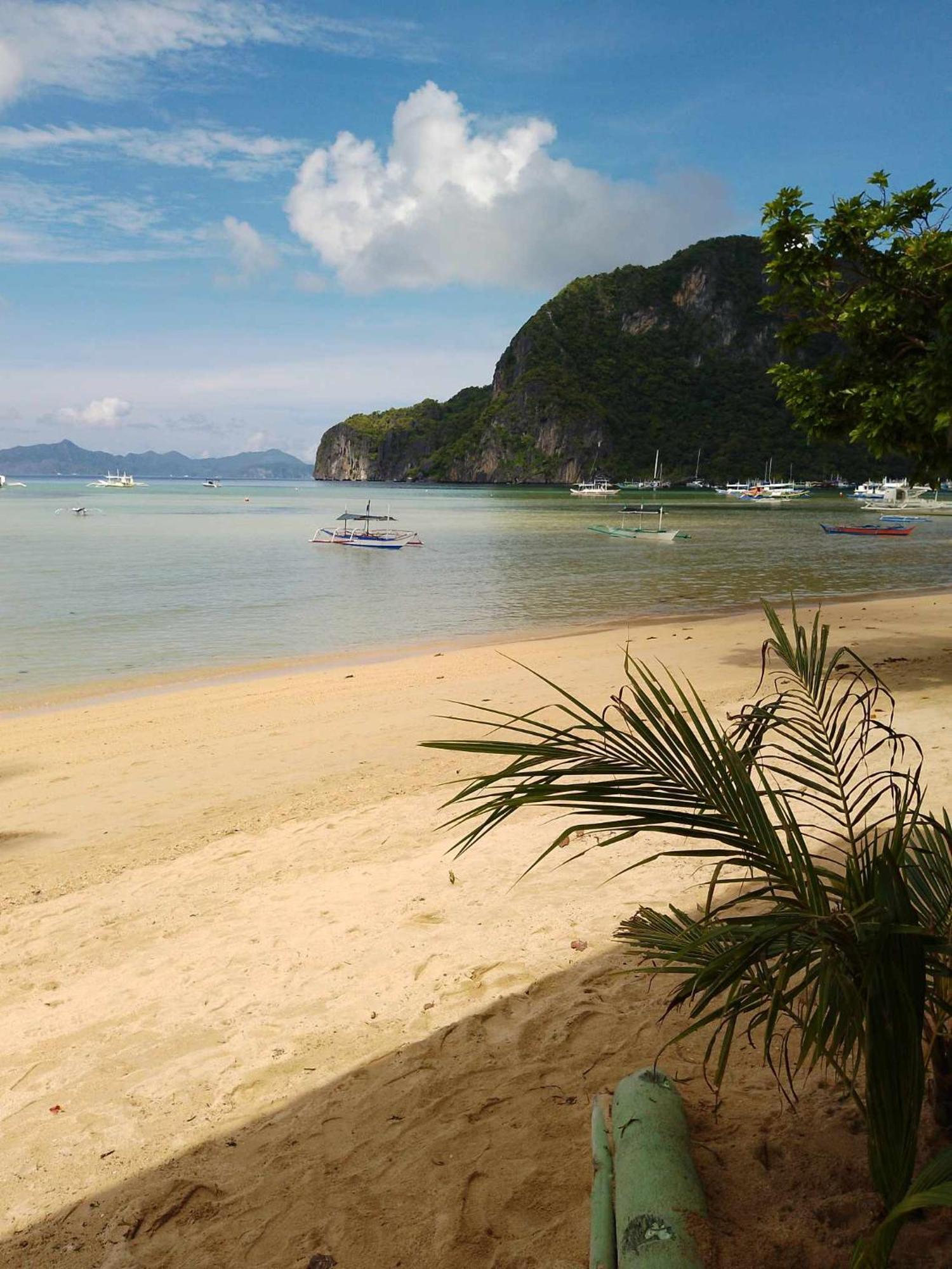 Lodge Alfa Garden El Nido