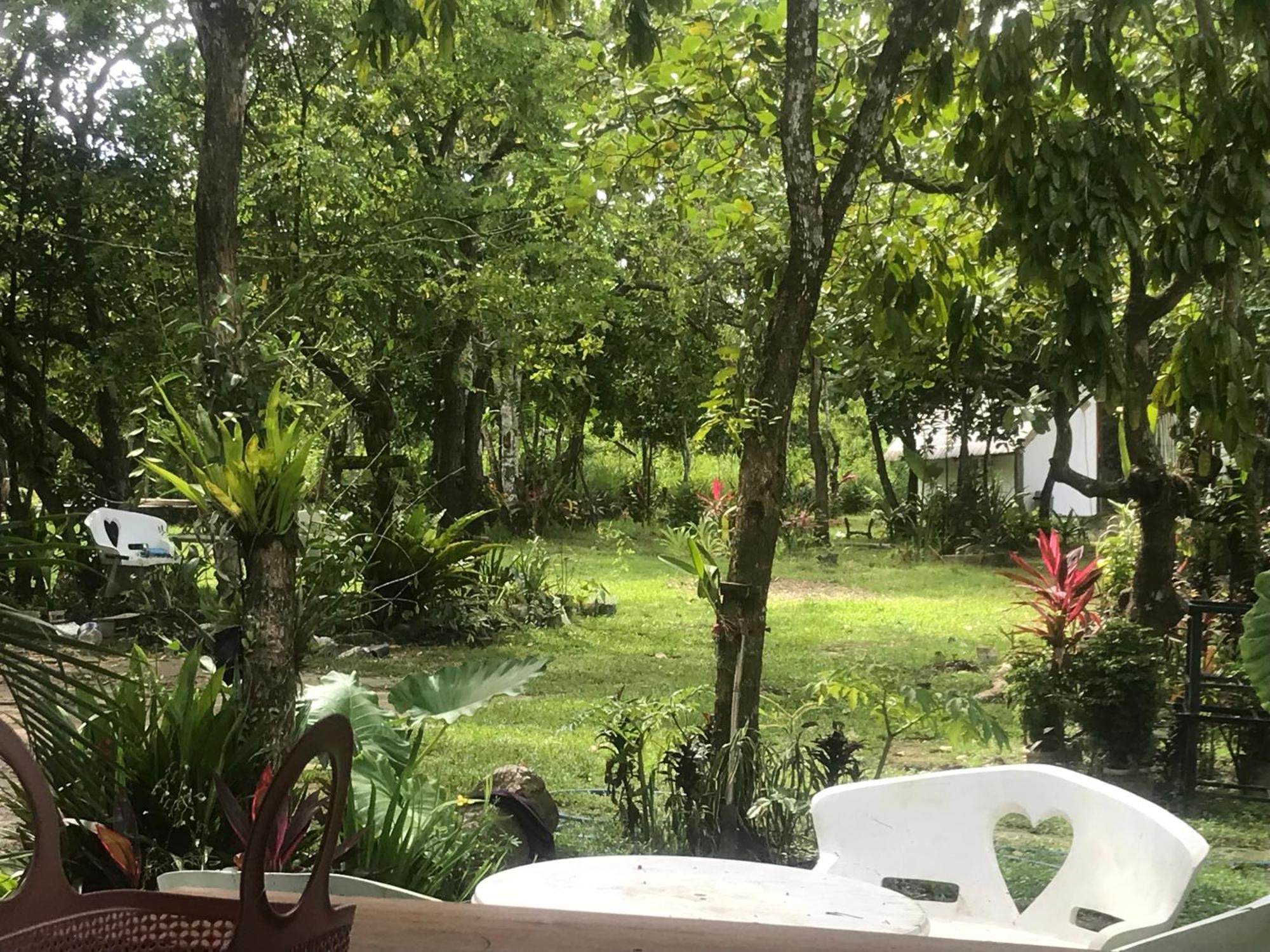 Bed & Breakfast Balili Farm At Nacpan