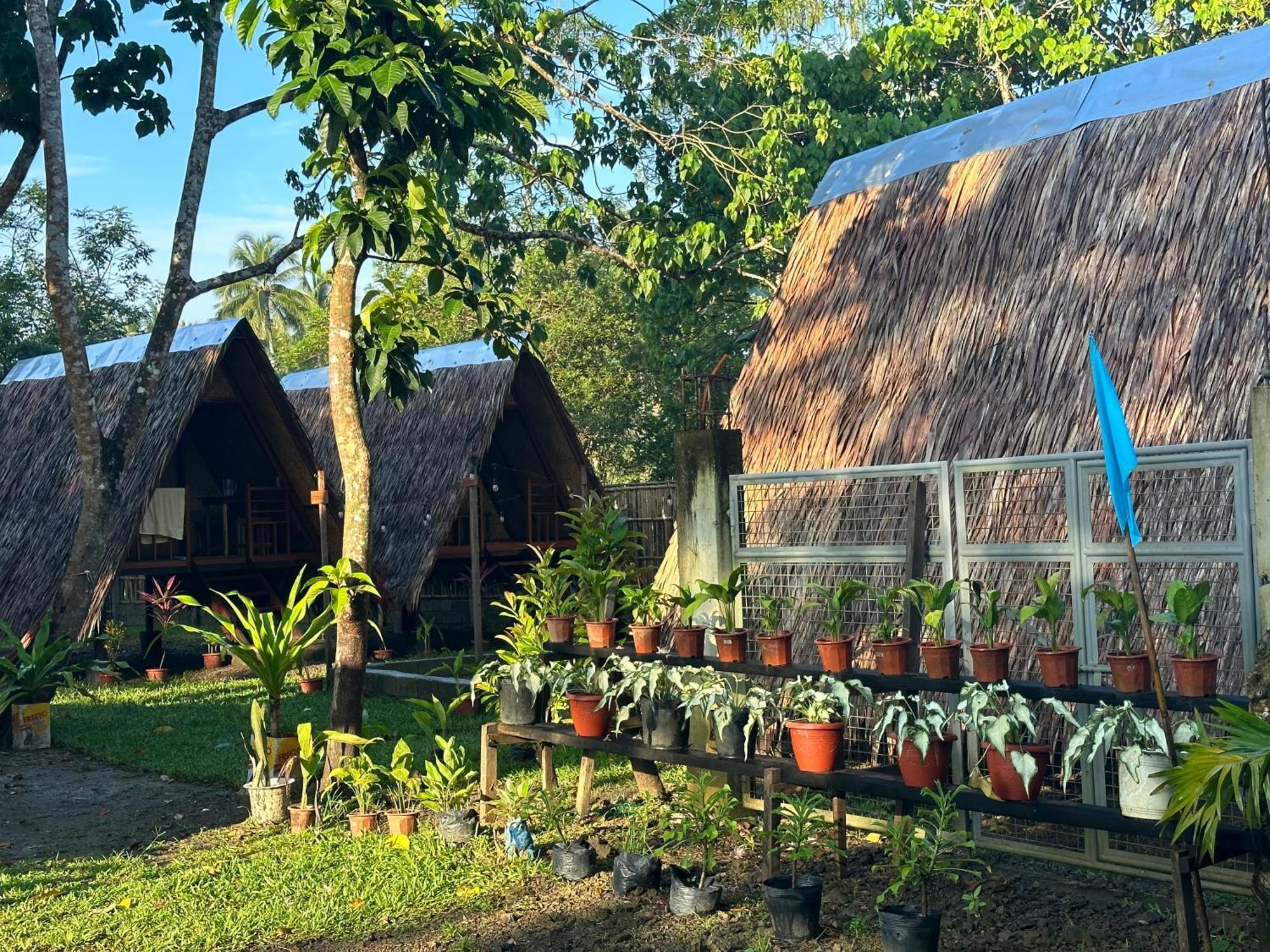 Hiraya Camp Site - Free Use Of Scooter For Nipa Huts Campsite *