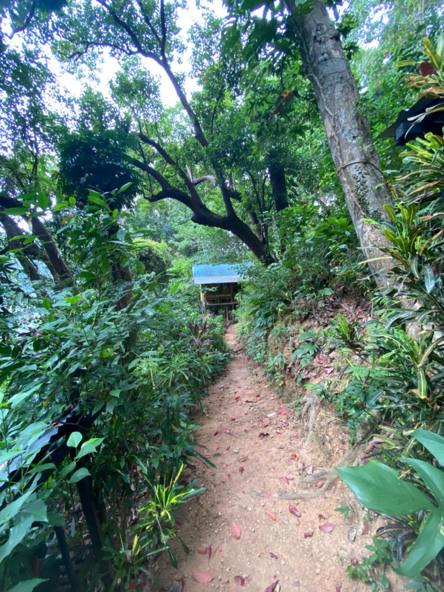 Camp Talusi Hilltop Overlooking Campeggio El Nido