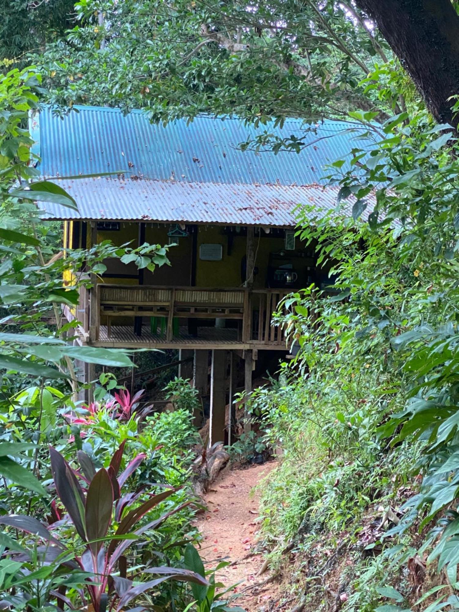 Camp Talusi Hilltop Overlooking *