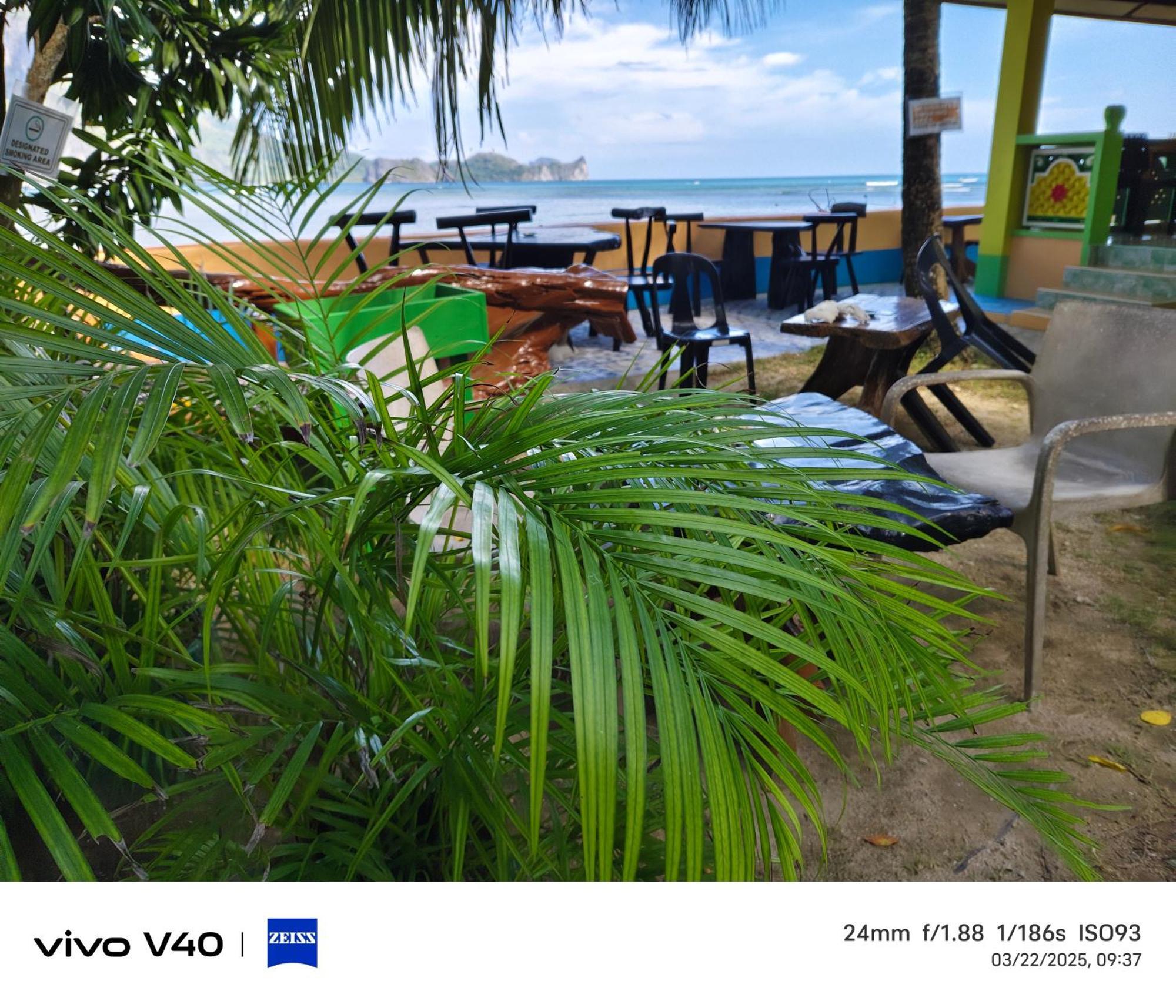 Hadefe Front Guest house El Nido