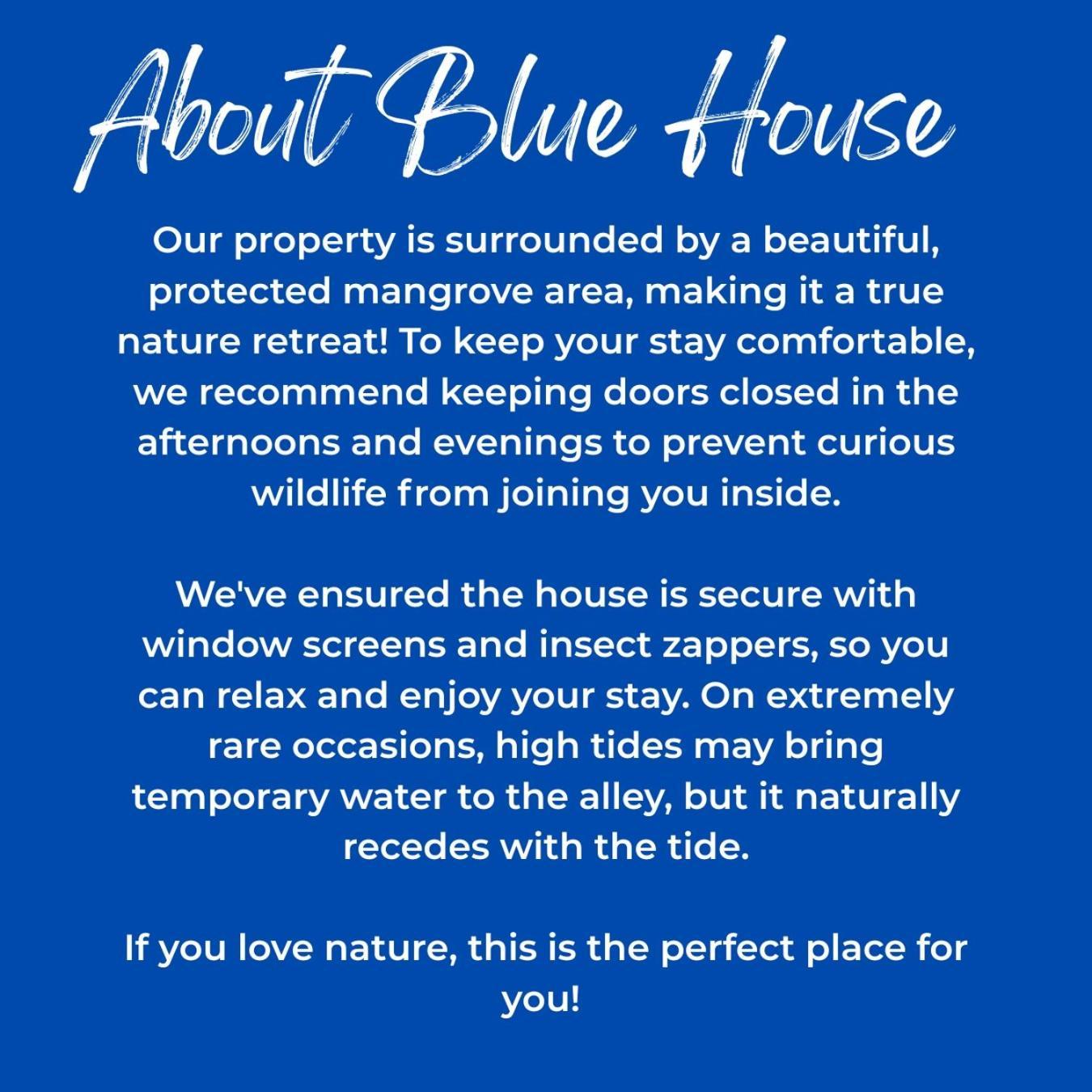 Blue House Apartment El Nido