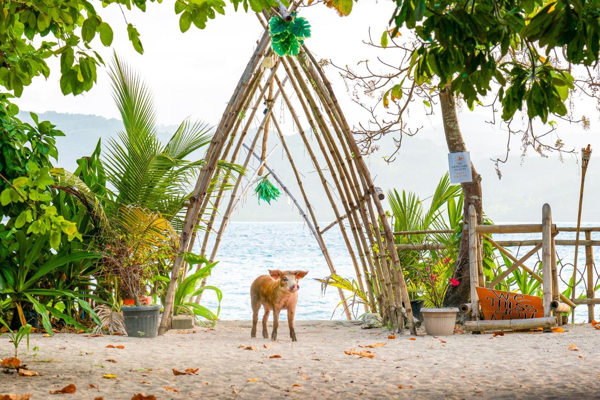 Isla - The Island Experience Campsite 3*
