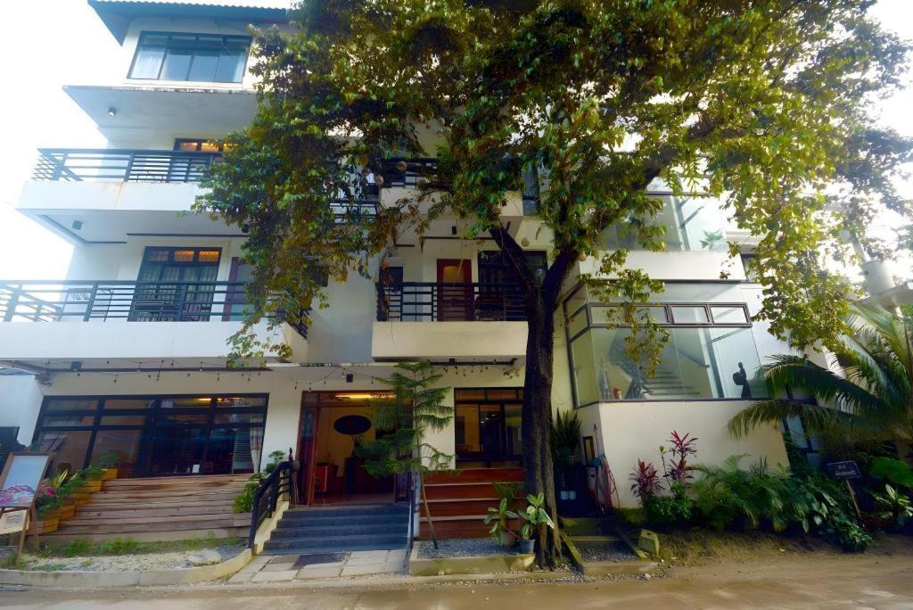 Ipil El Nido