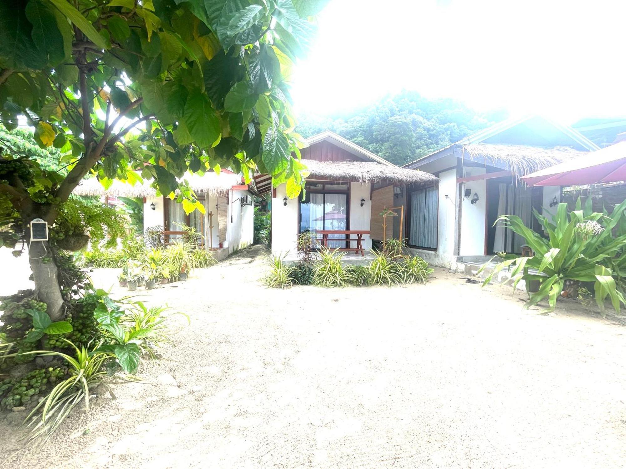 Bed & Breakfast Balili Free Drop Off Pickup To Town