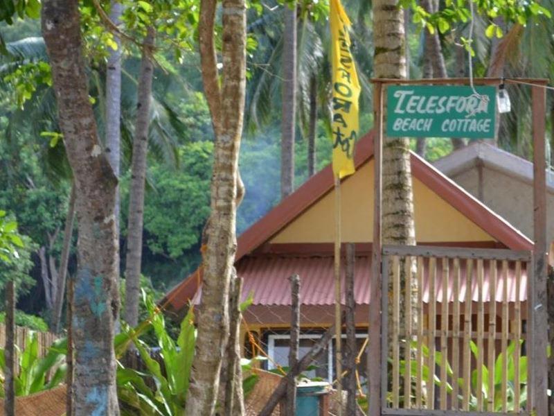 Telesfora 2*