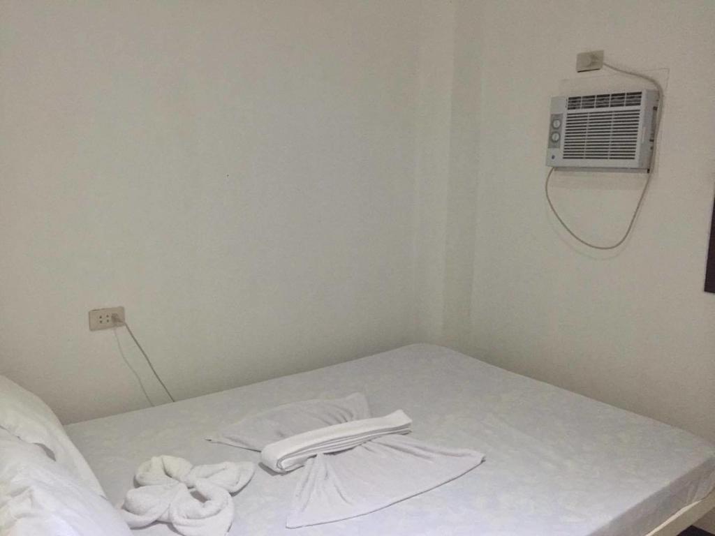 Hostel Alexzus Backpackers Travel