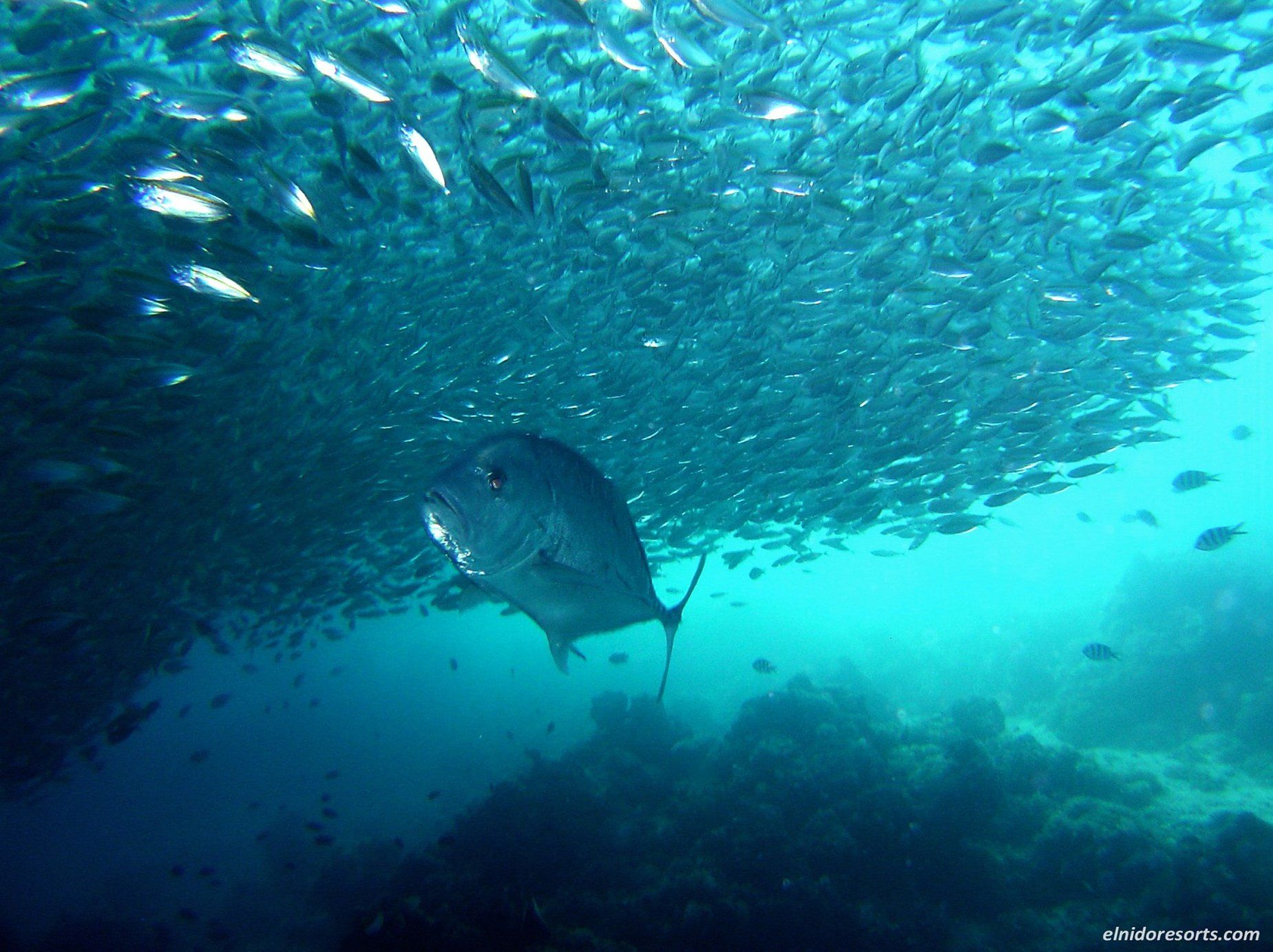 Pangulasian Island El Nido