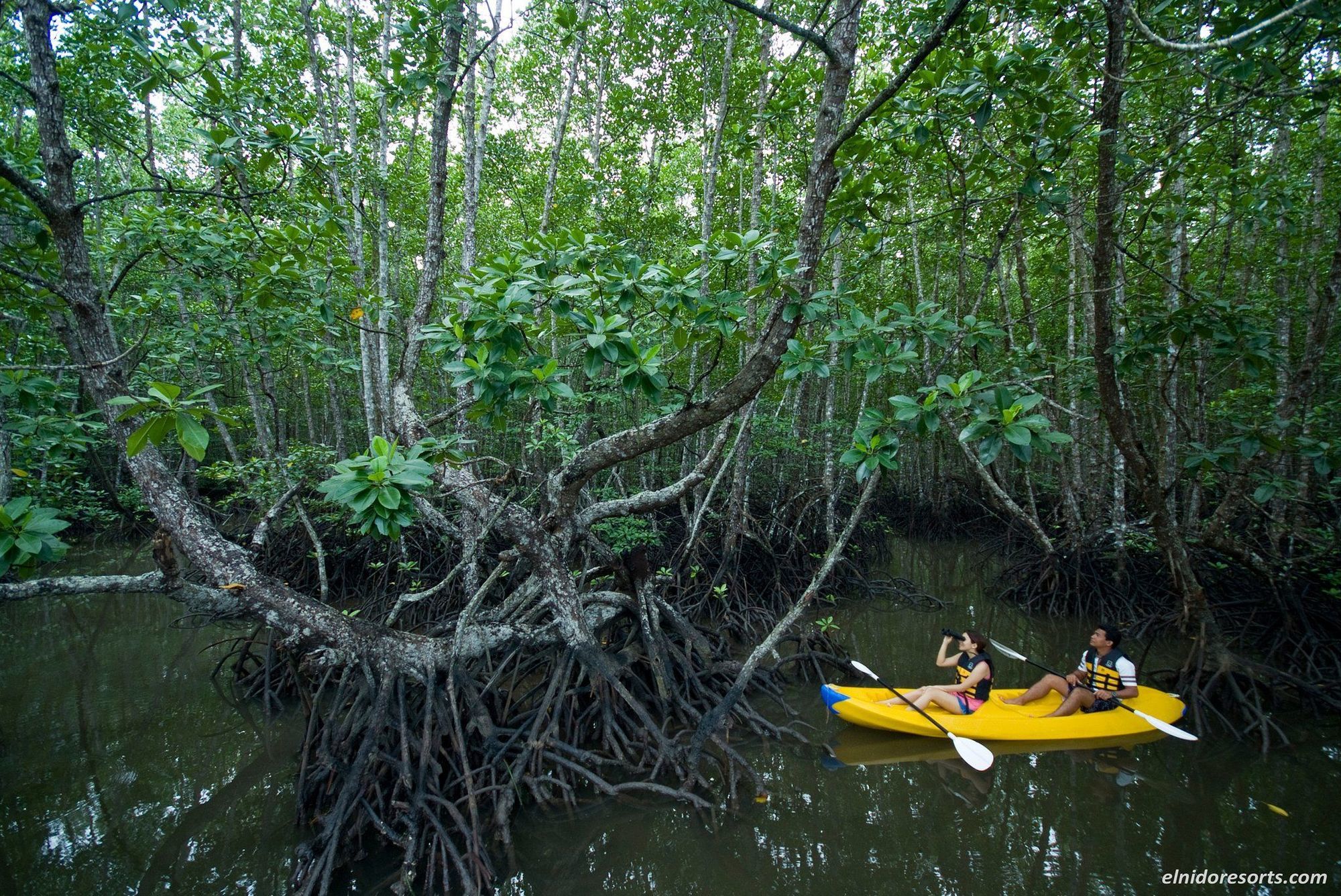Pangulasian Island