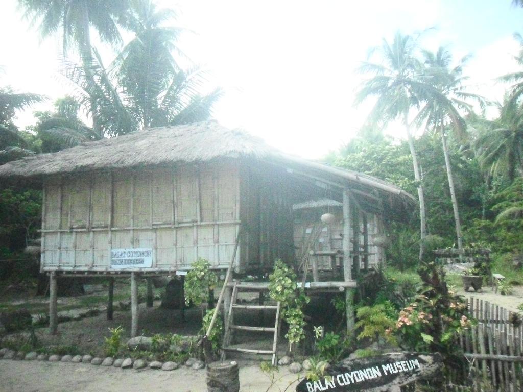 Lodge Erlittop Nature El Nido