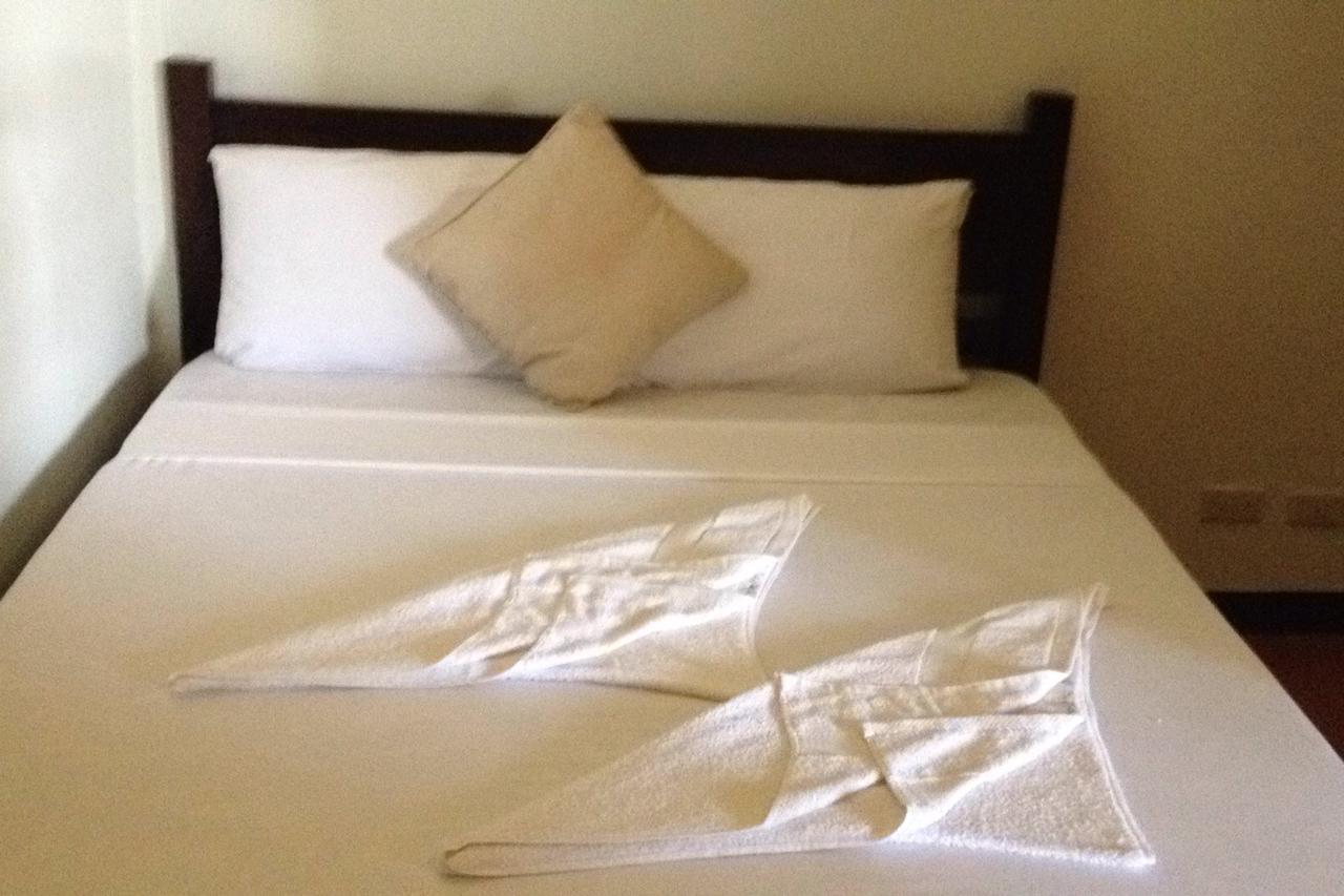 Inn Seaslugs Travellers