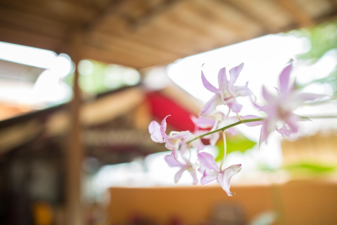 Bulskamp (adults Only) 3* El Nido
