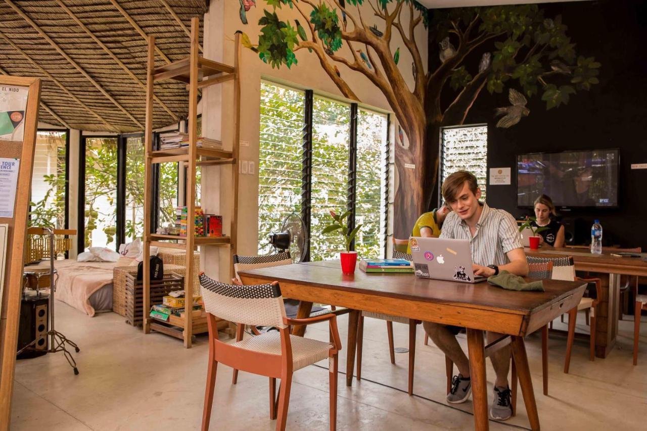 Hostel Spin Designer - El Nido