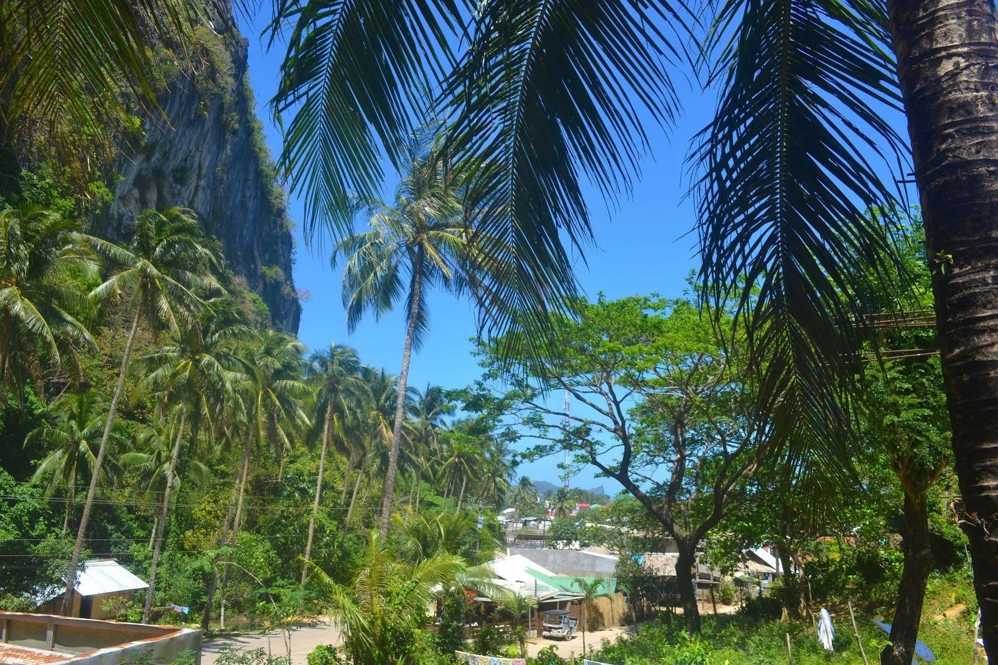 Swiftlets El Nido