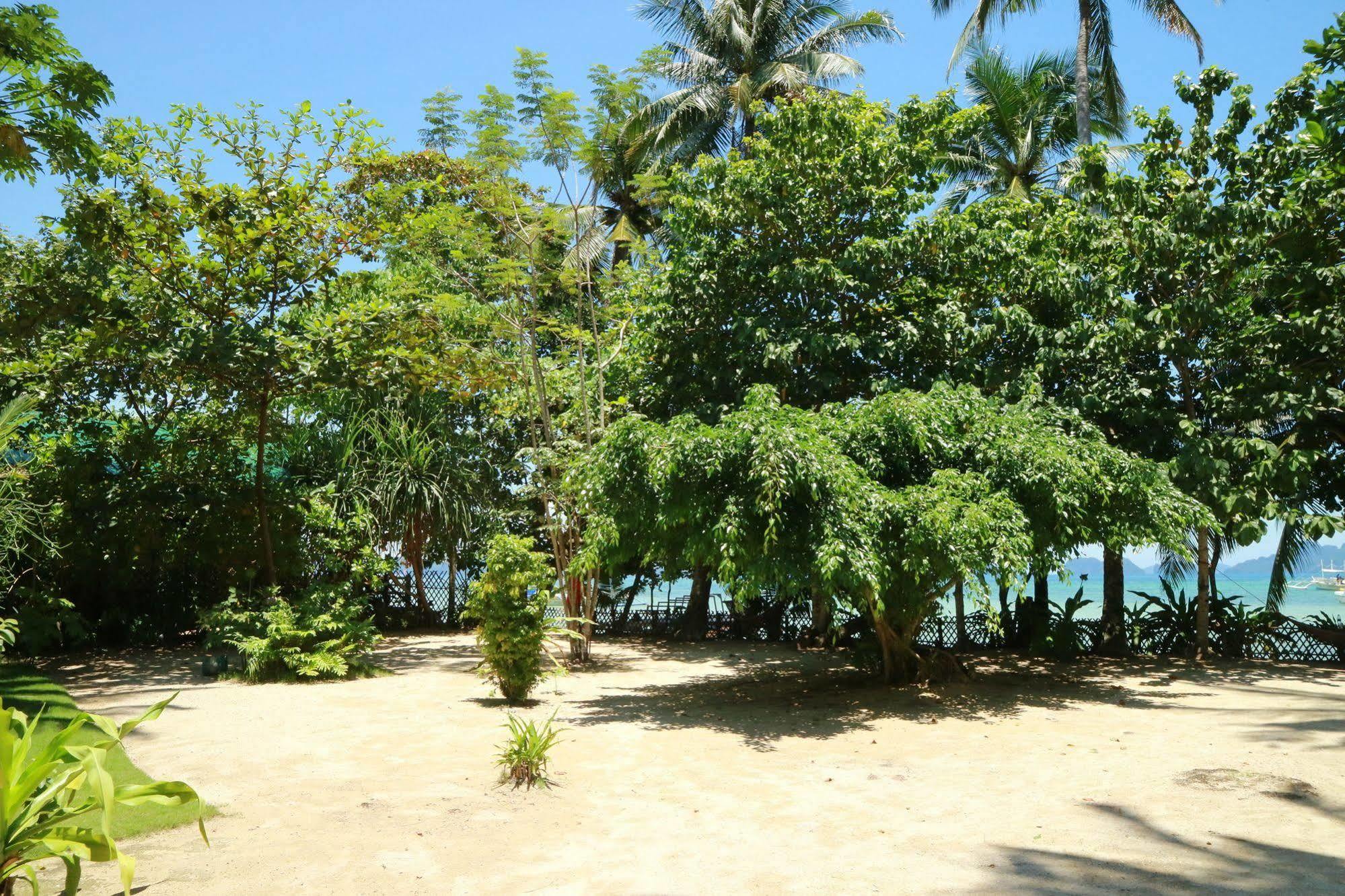 Mahogany El Nido