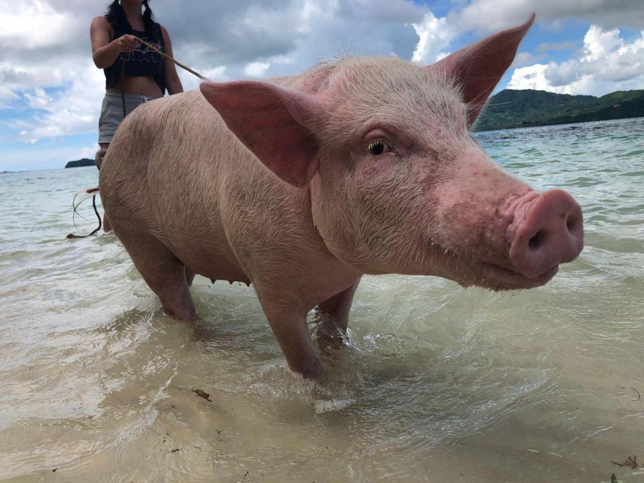 Isla - The Island Experience El Nido