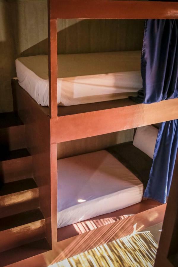 Lexias And Workspace - Hostel *