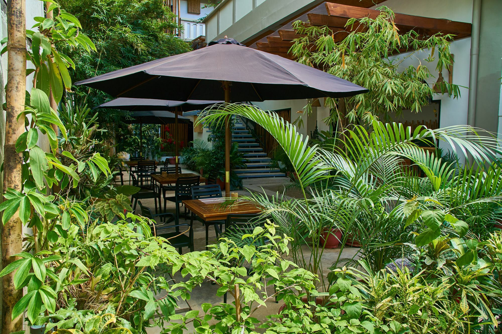 Amakan - Palawan Inn