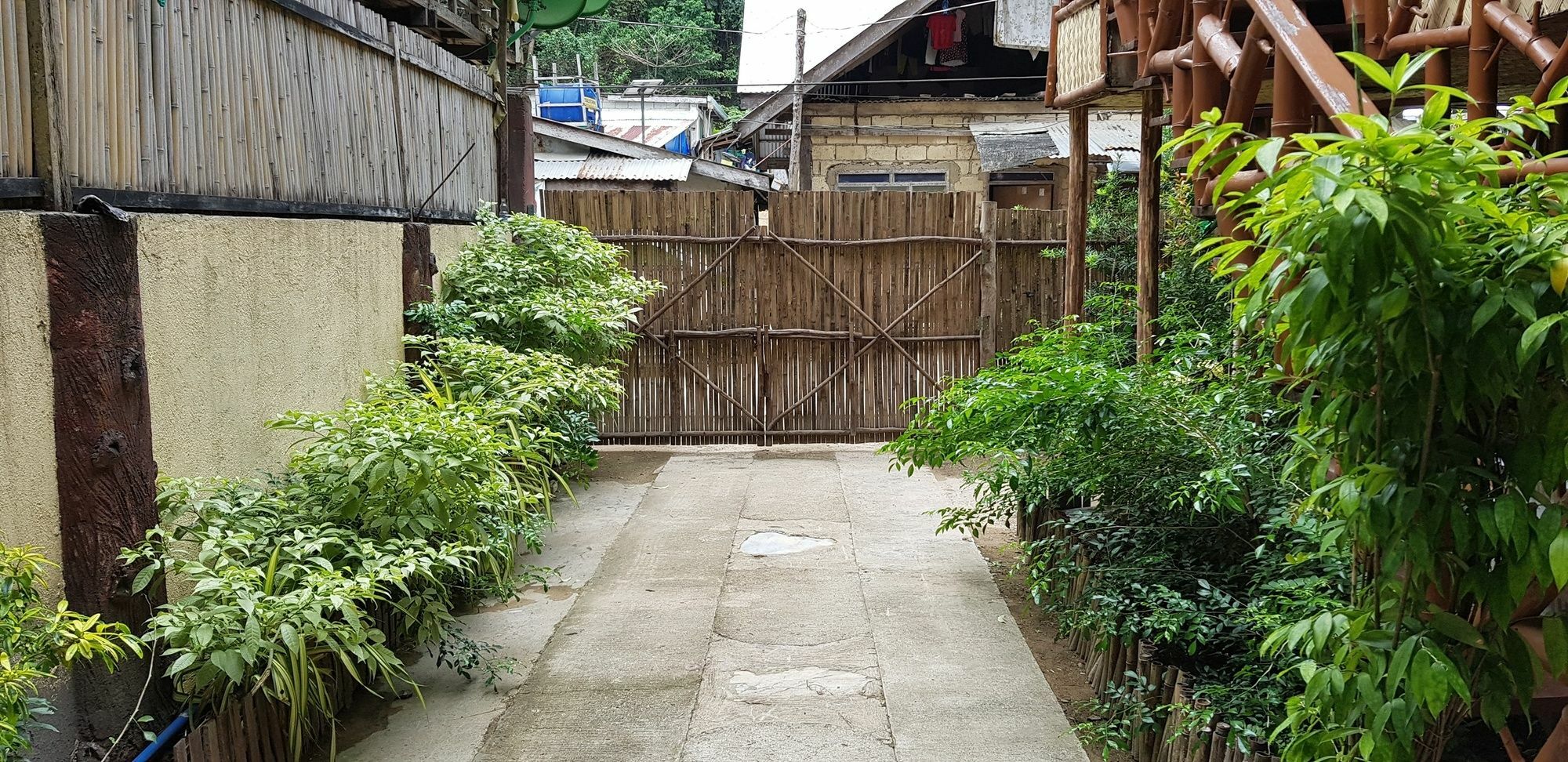 Guest house Ced El Nido