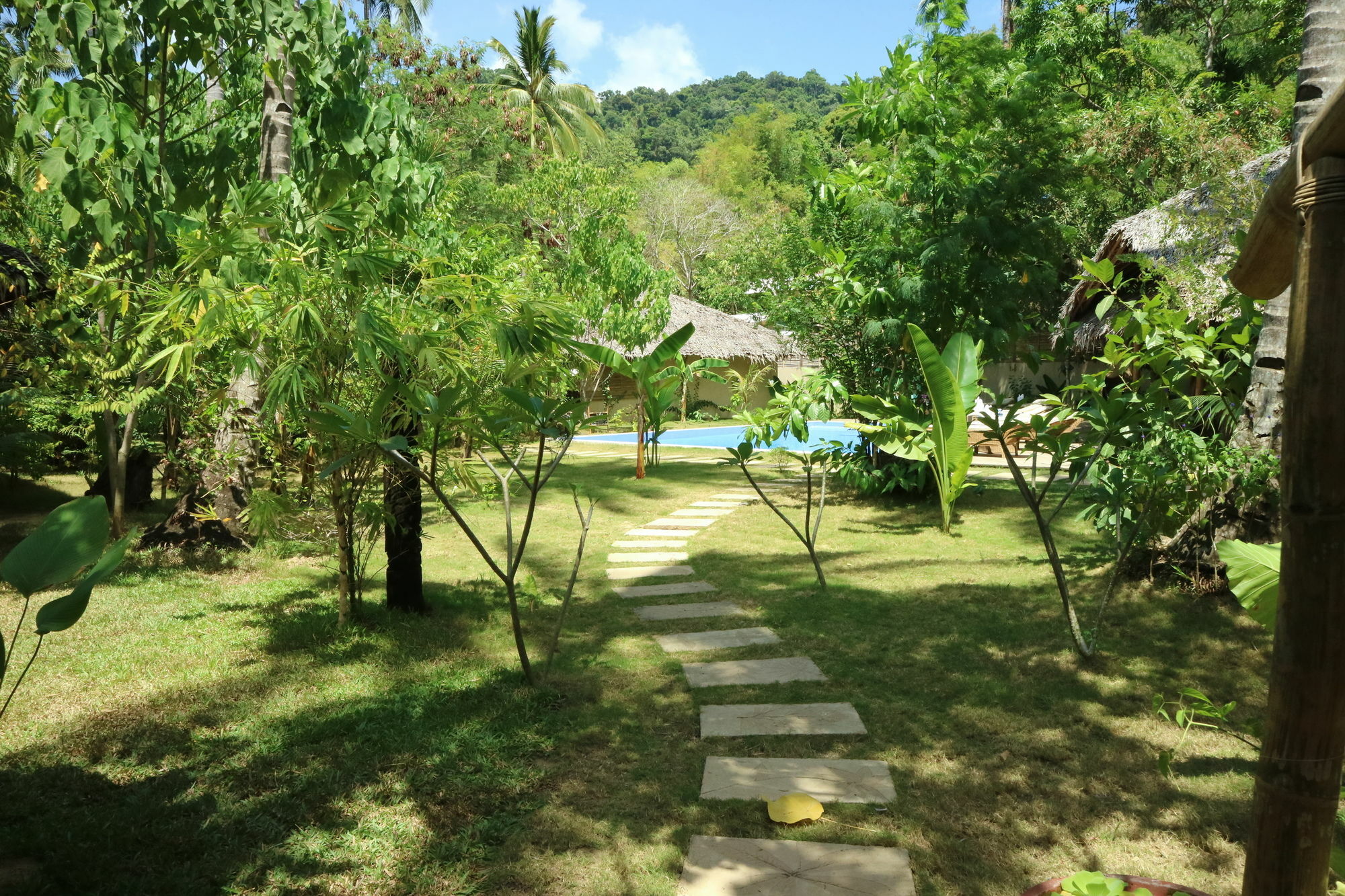 Coco 3*