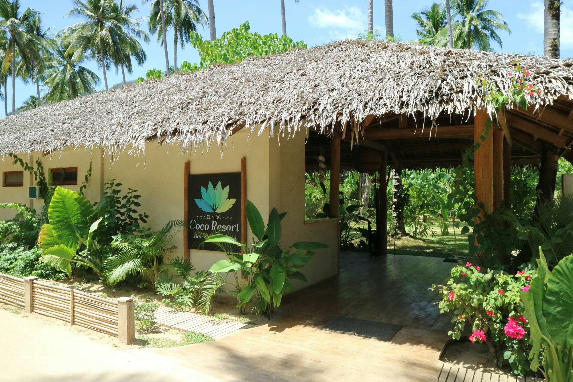 Coco 3*