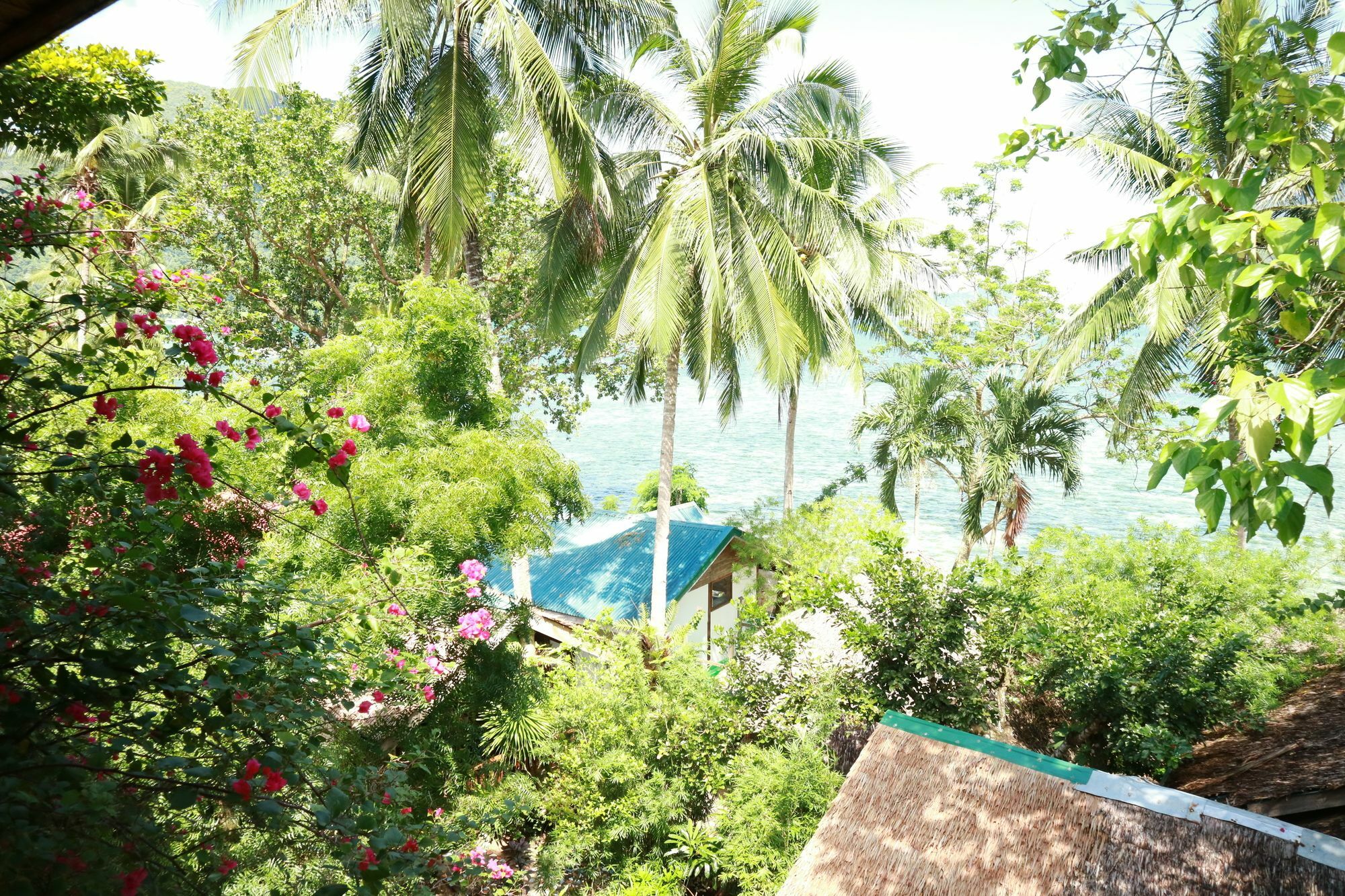 Golden Monkey 3* El Nido