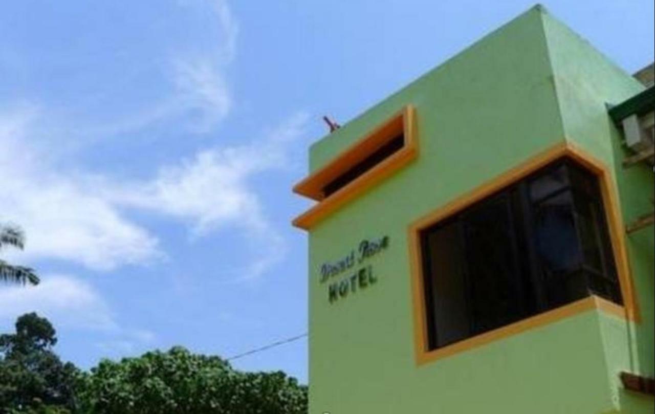 Desert Rose Hotel El Nido