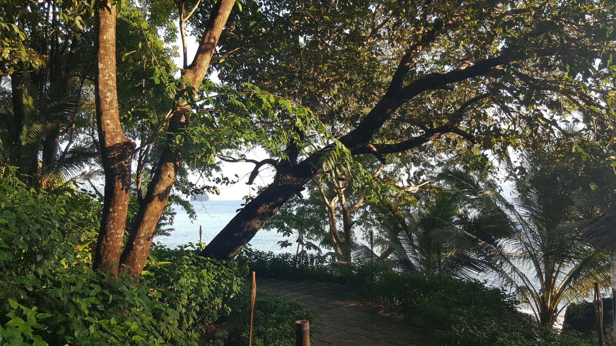 Alternative Resort