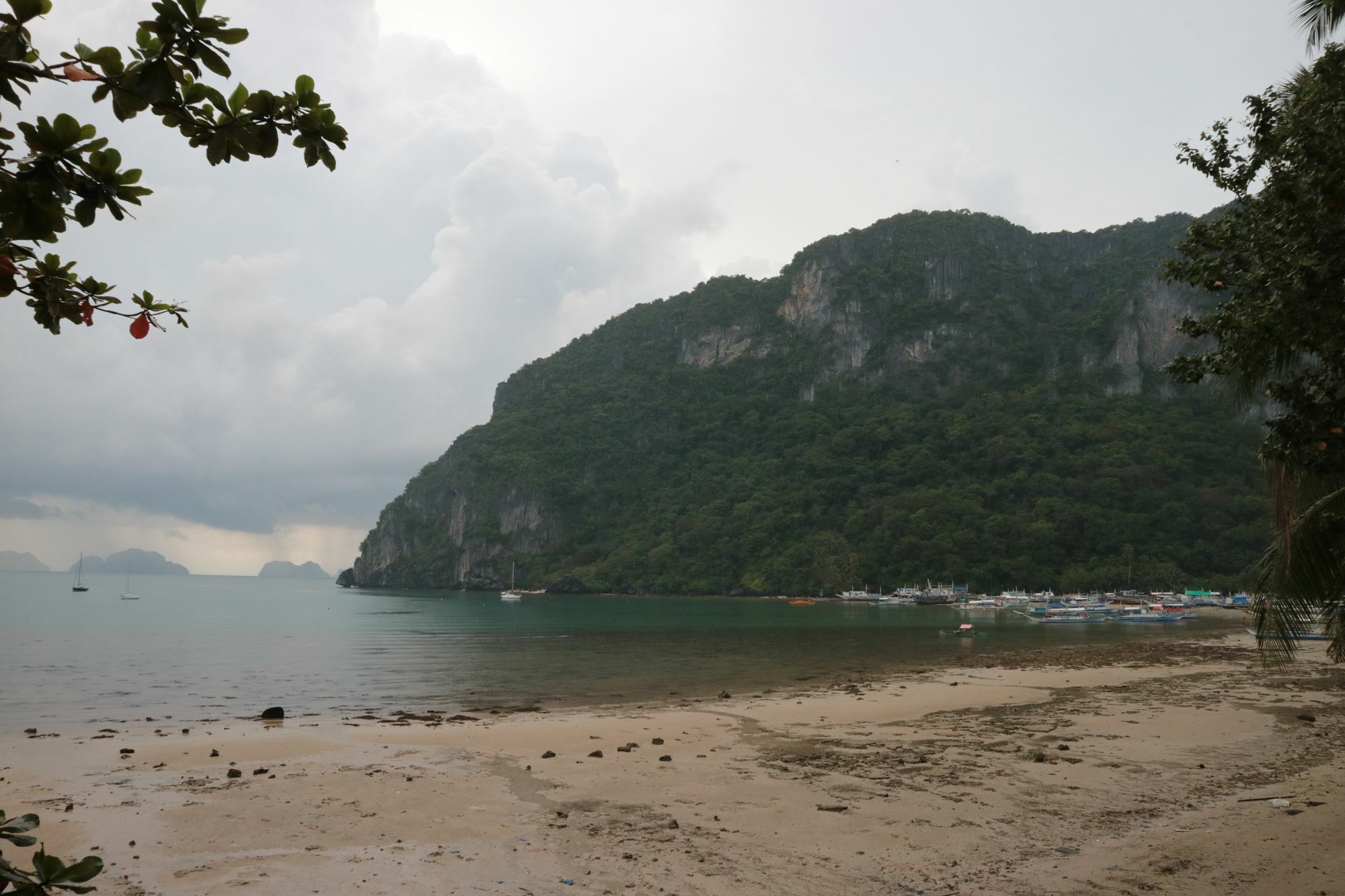 Sophias El Nido