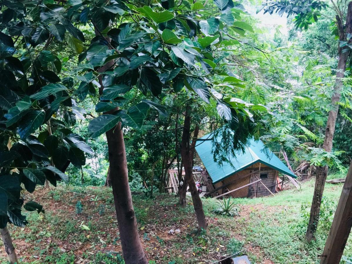 Camp Talusi Hilltop Overlooking * El Nido