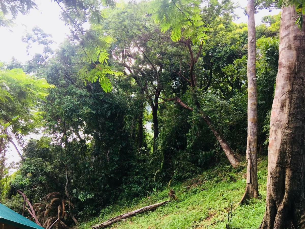 Camp Talusi Hilltop Overlooking El Nido