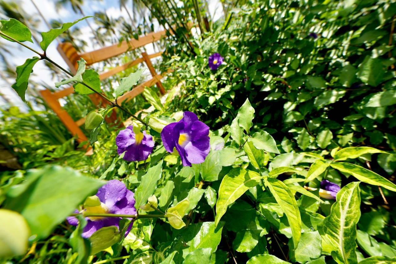 Nacpan Glamping Managed By H Hospitality Group El Nido