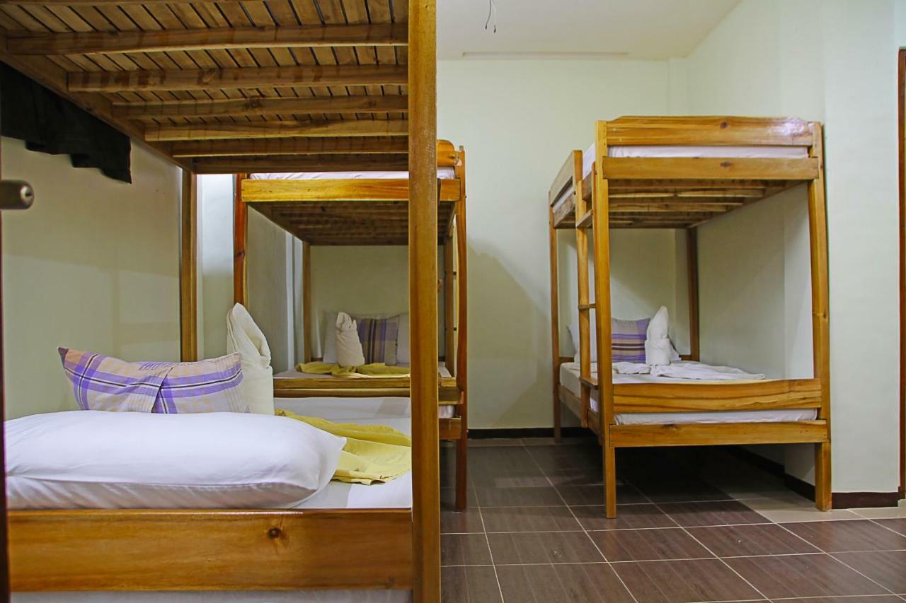 Inn Seaslugs Travellers